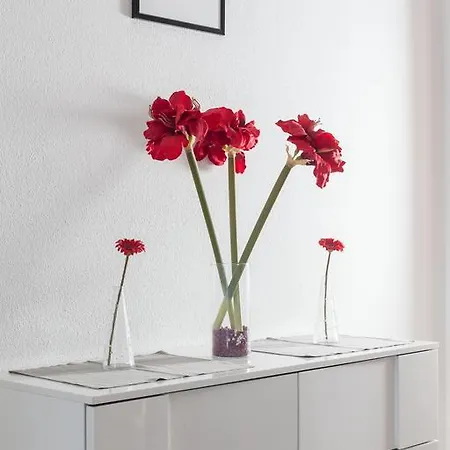 Center Apartment Makarska